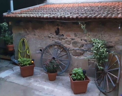 Chambre d'hôtes La Maison des Roses